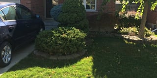 Photo of the property