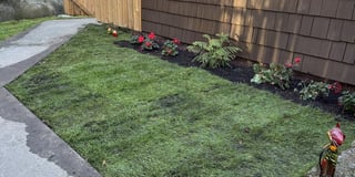 Photo of the property