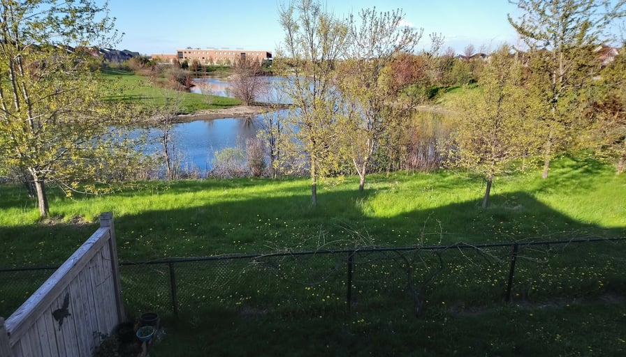 Photo of the property