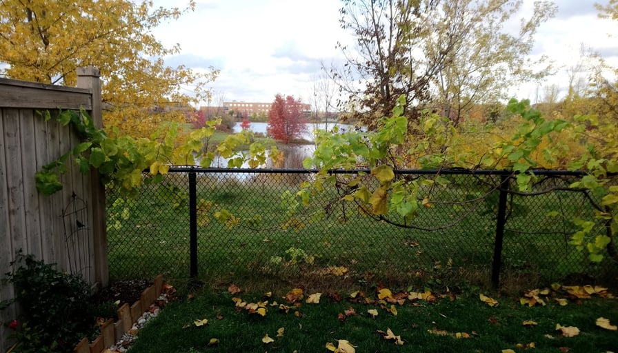 Photo of the property