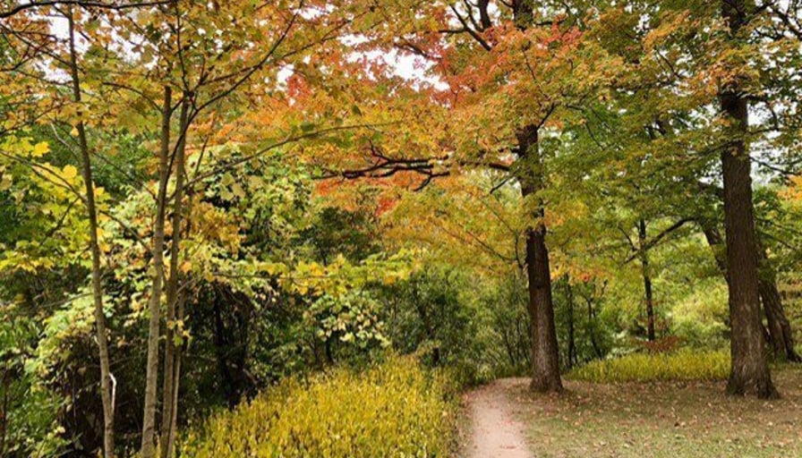 Photo of the property