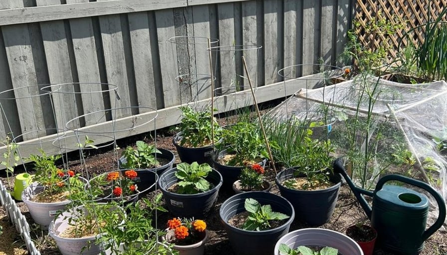 Photo of the property