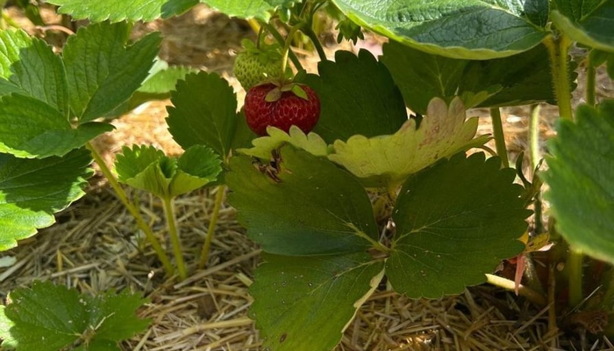 Photo of the property