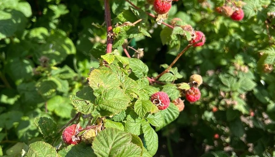 Photo of the property