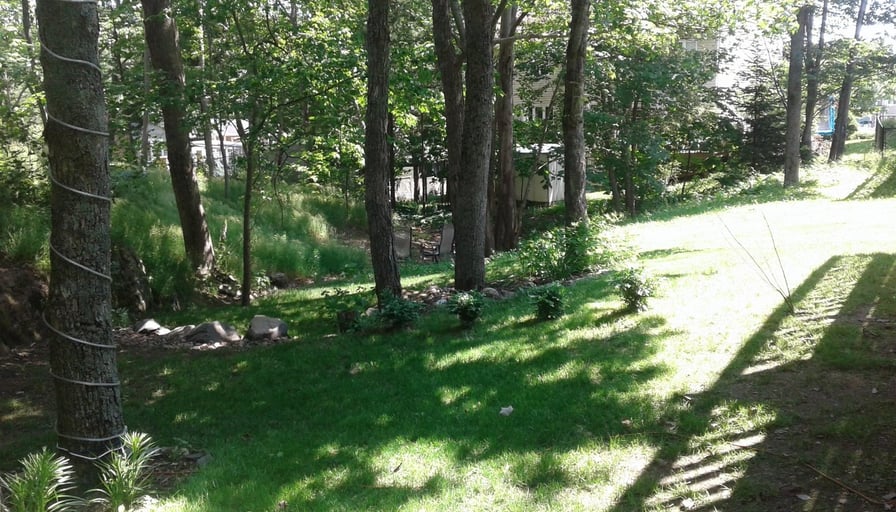 Photo of the property