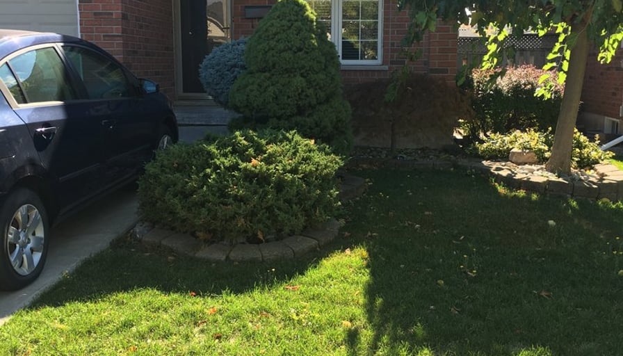 Photo of the property