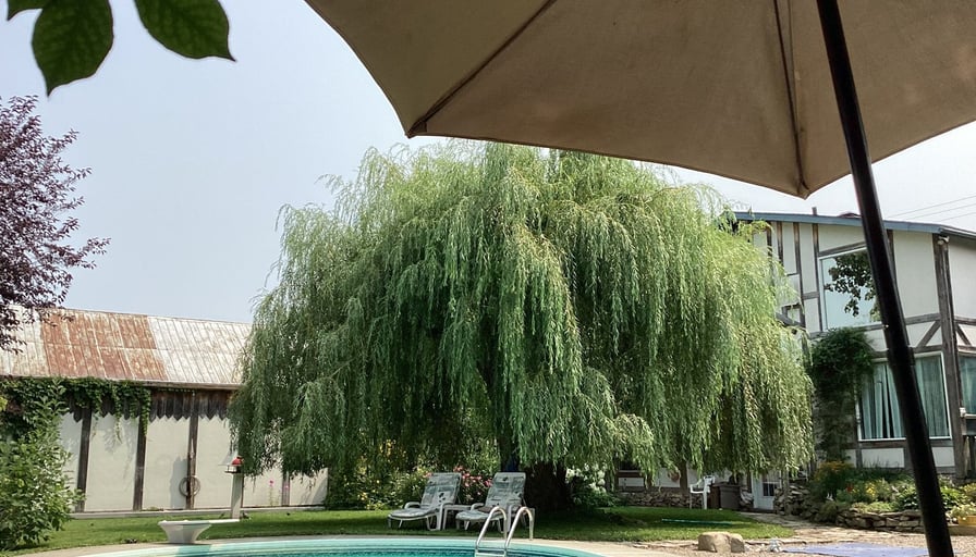 Photo of the property