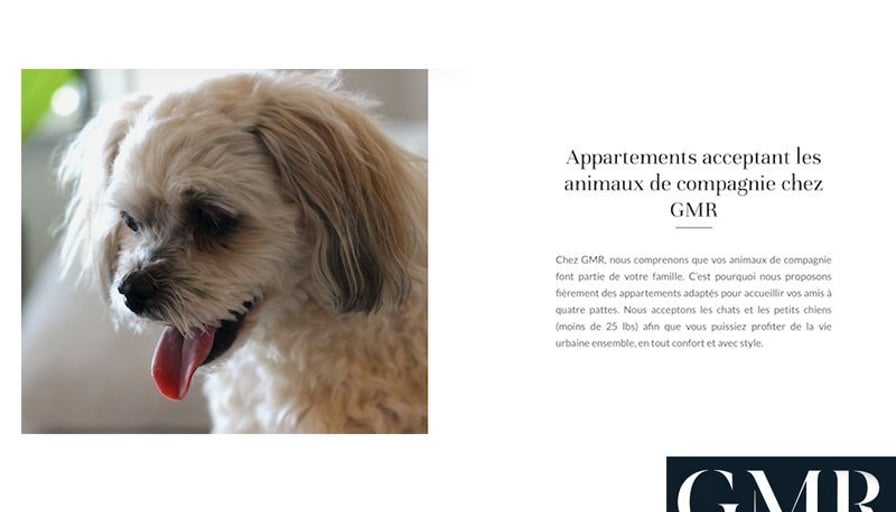 Photo of the property