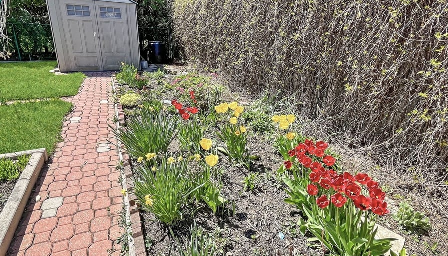 Photo of the property