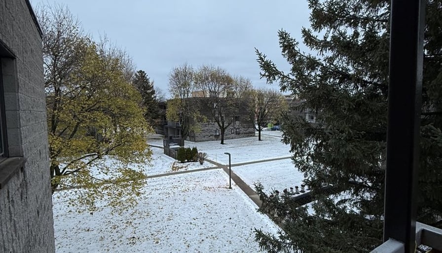 Photo of the property