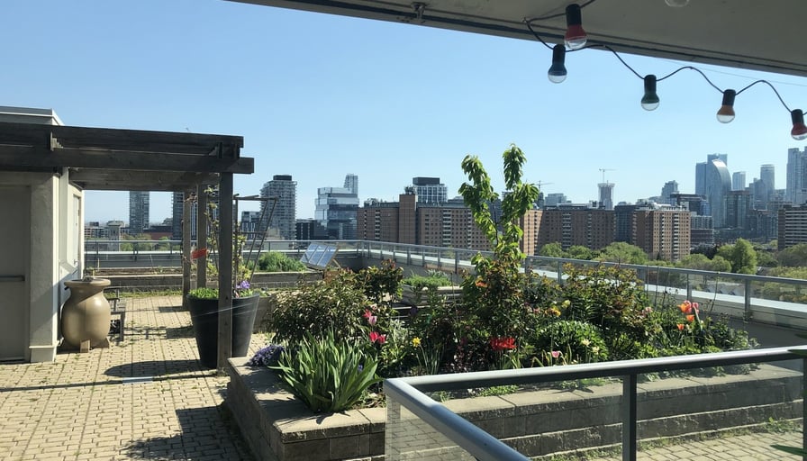 Photo of the property