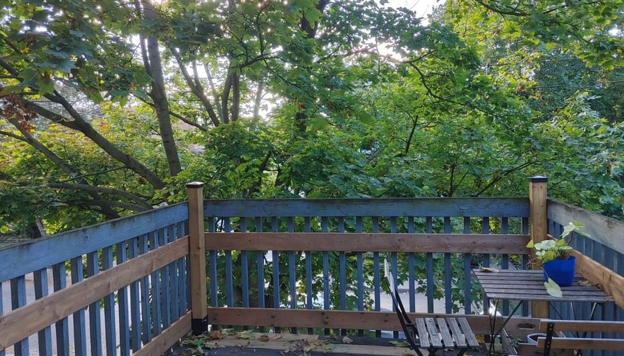 Photo of the property