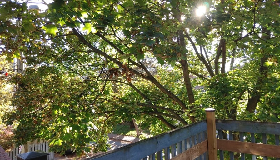 Photo of the property