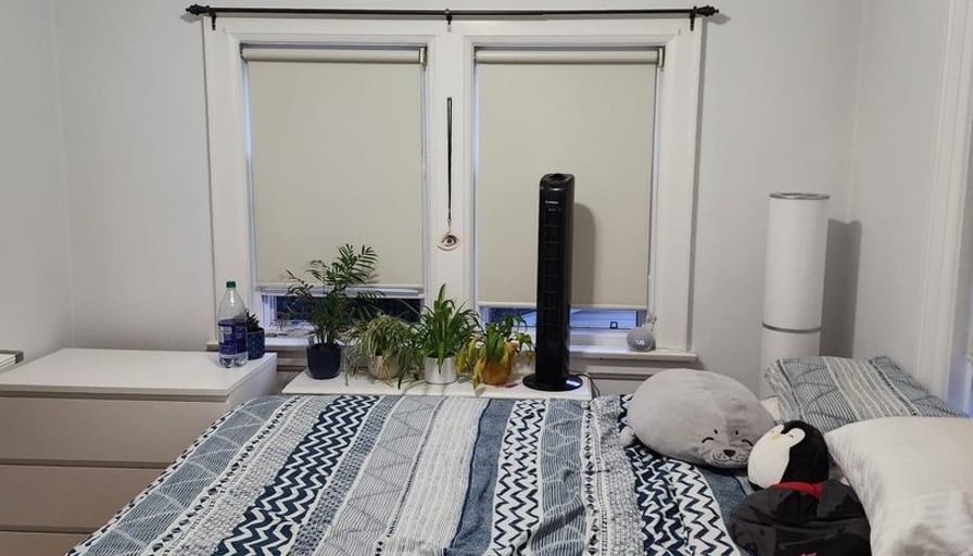 Photo of the property