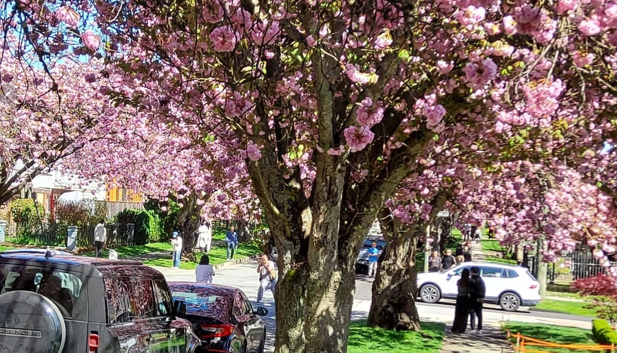 Photo of the property