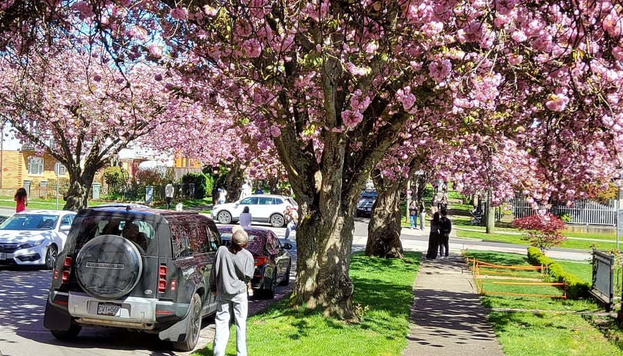 Photo of the property