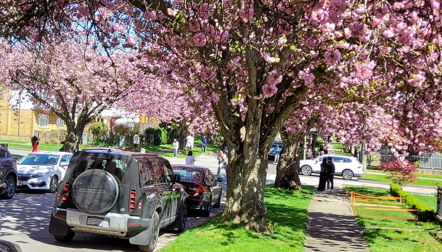 Photo of the property