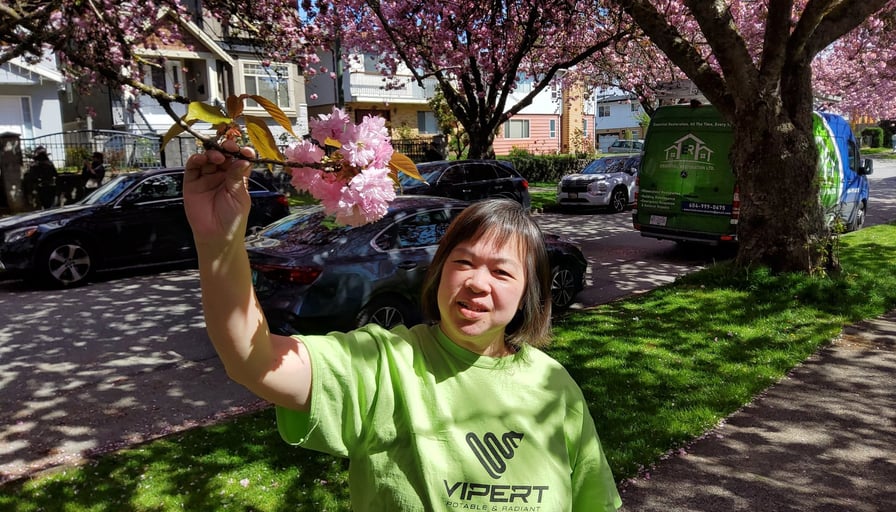 Photo of the property