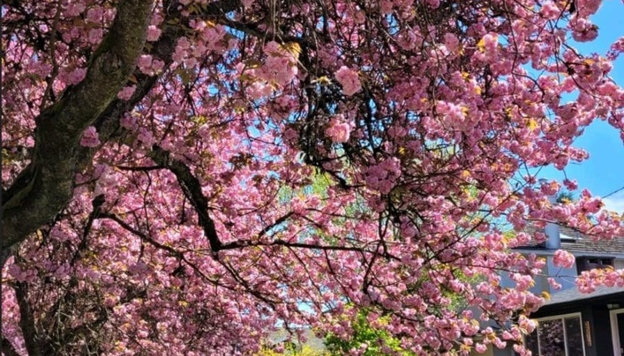 Photo of the property