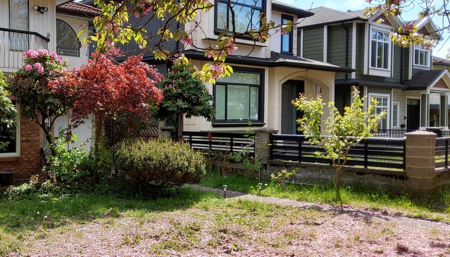 Photo of the property