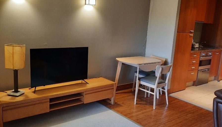 One Bedroom Apartment with Views towards Albert Par... Roomies.co.nz