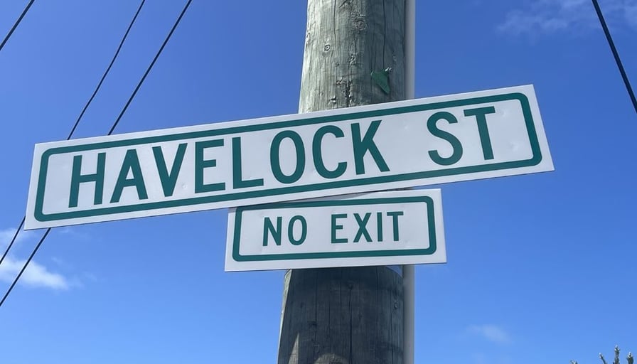 31 Havelock Street, Mornington This large and... Roomies.co.nz