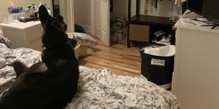 Photo of Kaylee's room