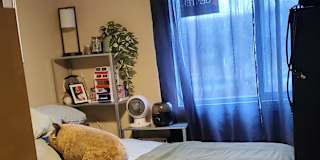 Paul or Xander's room