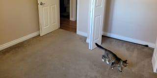 Photo of Jess's room