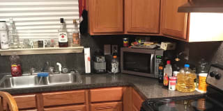 Photo of Hersey's room