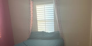 Photo of Sashmita's room