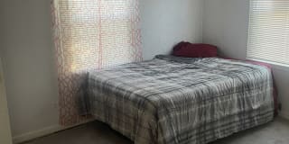 Photo of SODDIE's room
