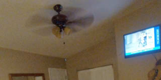 Photo of William's room