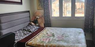 Inderbir Singh's room