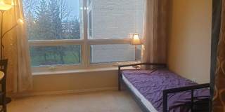 Photo of Foojan's room