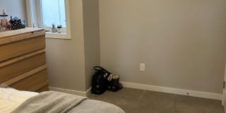 Photo of Monica's room