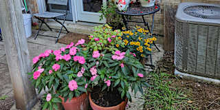 Photo of Maryanne Thomson's room