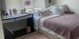 Photo of Mario's room