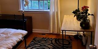 Desh Alexander's room