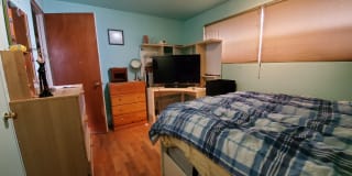 Photo of Todd's room
