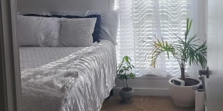 Photo of Amy's room