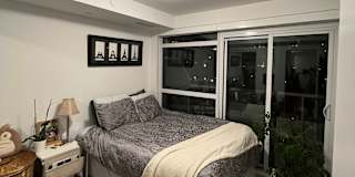 Hanneke de Roo's room