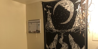 Photo of Darby's room