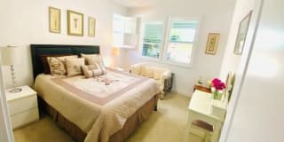 Photo of Hend Letaief's room