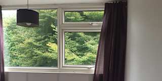 Photo of ALLEN's room