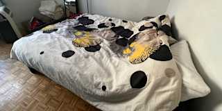 Hassan Shoaib's room