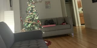 Photo of Paola's room