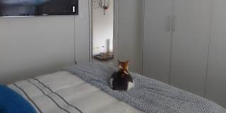Photo of Debbie Mocke's room