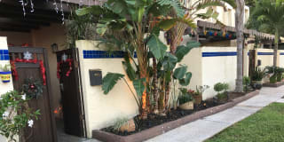 Photo of Richard's room