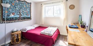 Photo of Hanspal's room